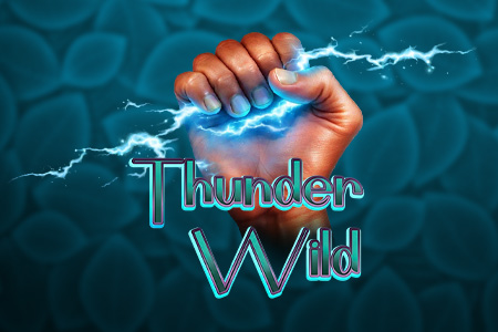 Thunder Wild 5
