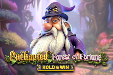 Enchanted: Forest of Fortune